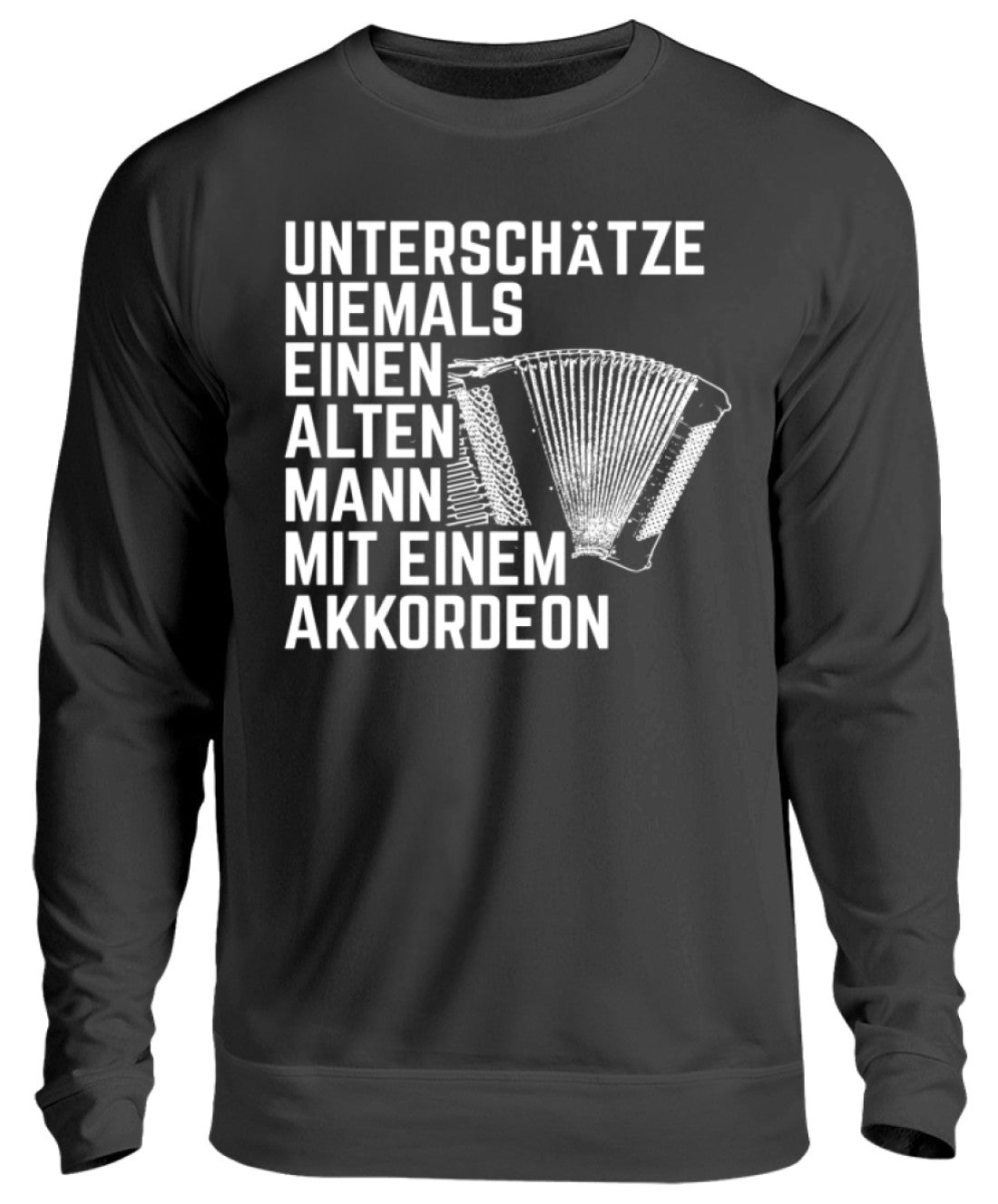 Akkordeon Pullover
