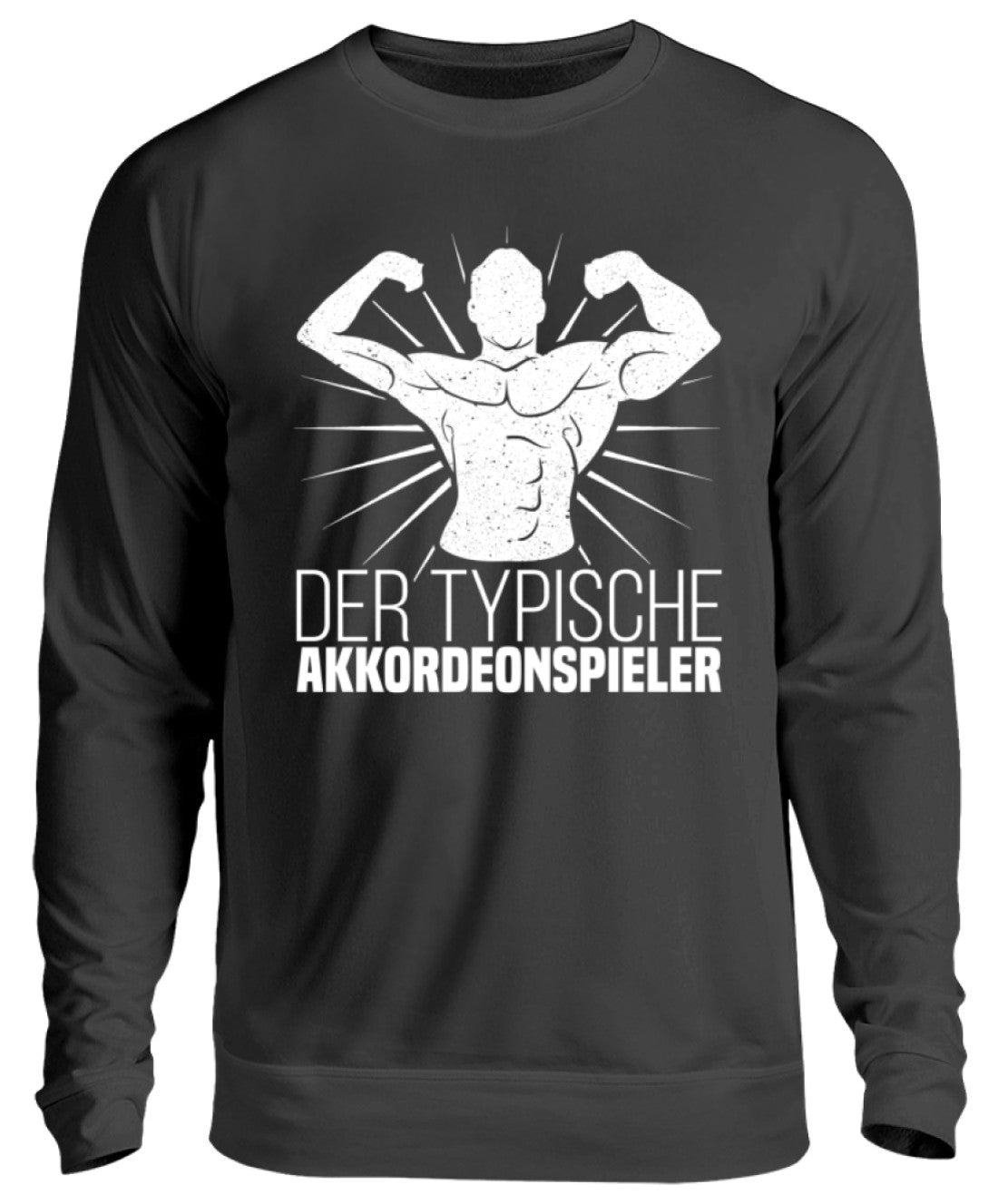 Akkordeon Pullover